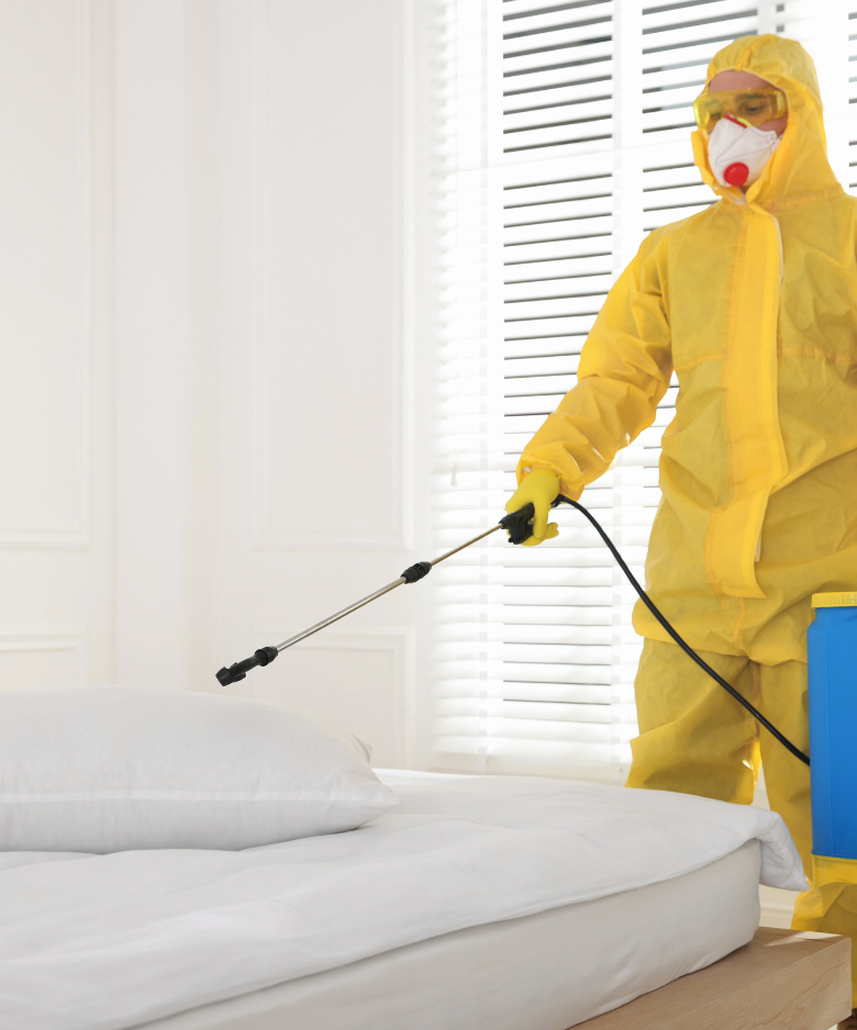 Professional Pest Control Team in Largs North